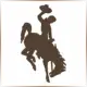 University of Wyoming - Petroleum School Ranking